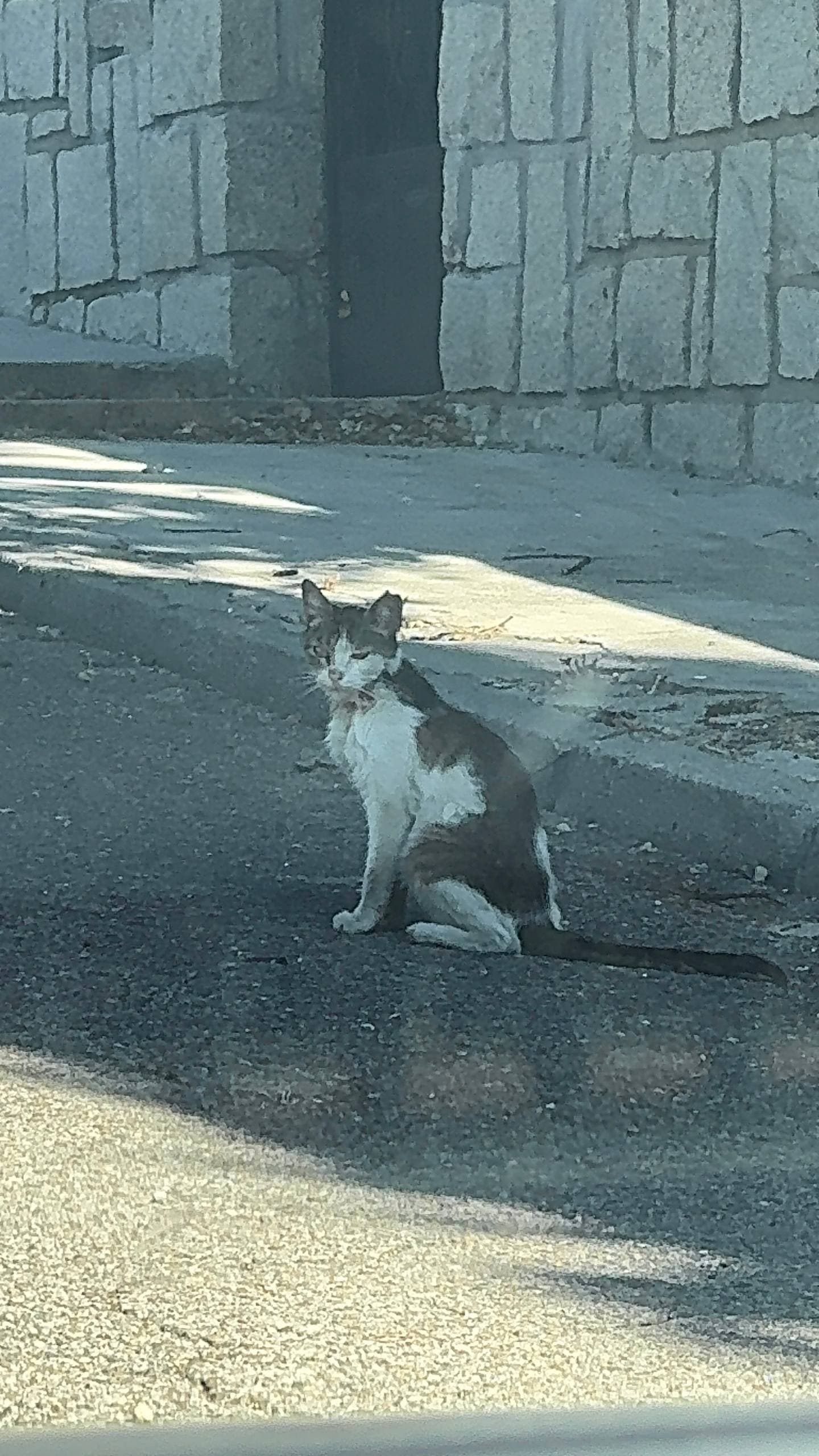 Foto de Greco