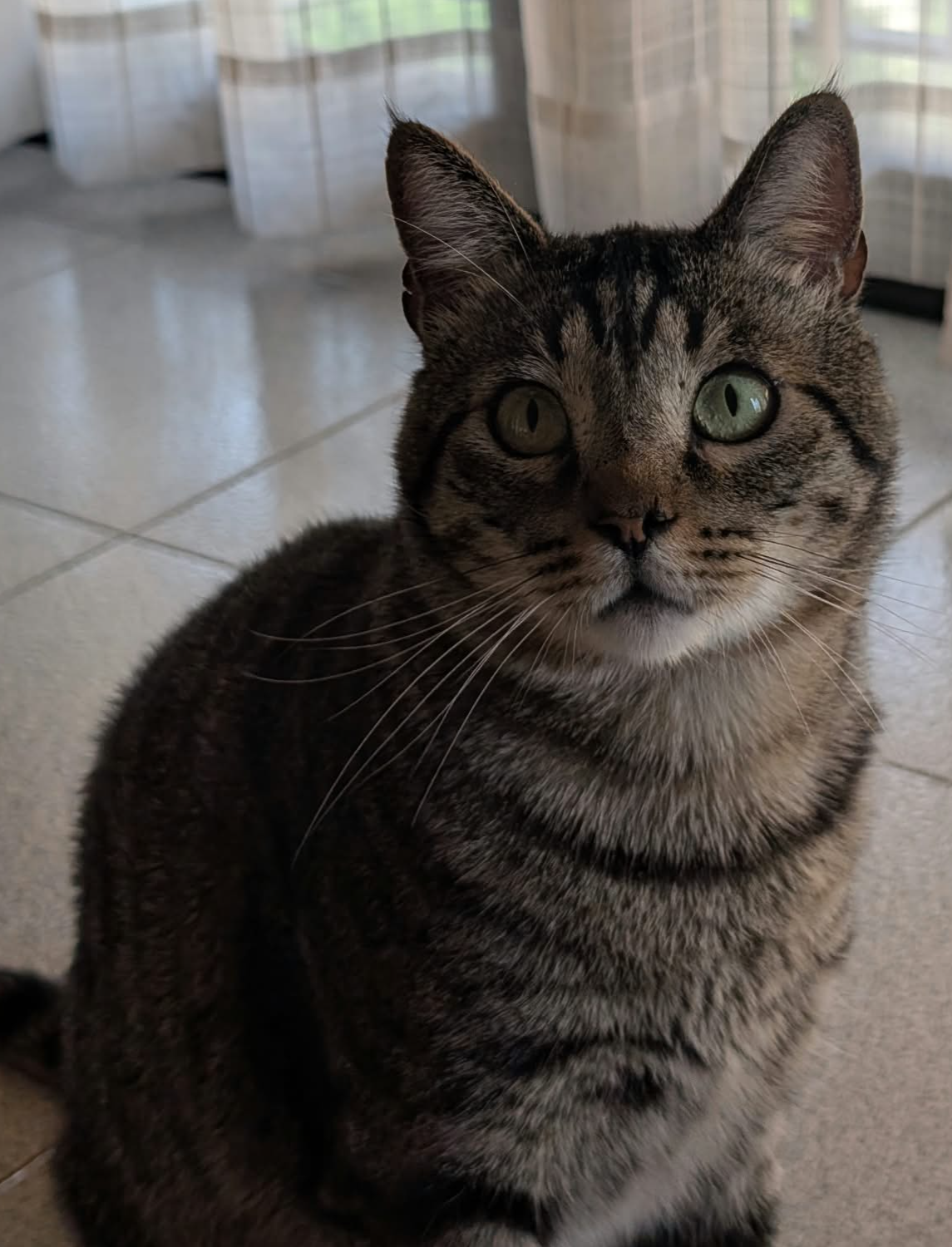 Lucho