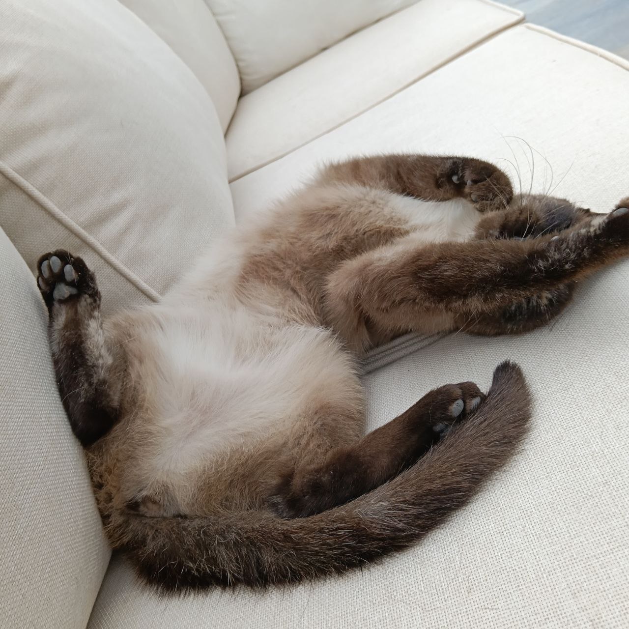 Foto de Sophie