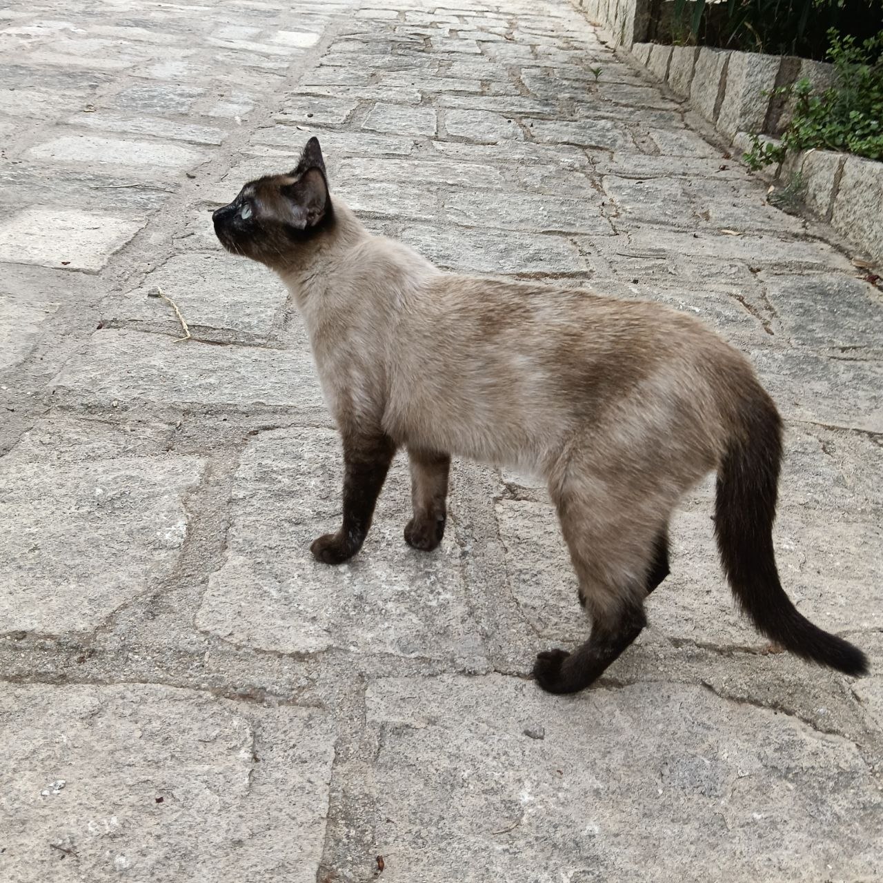 Foto de Sophie